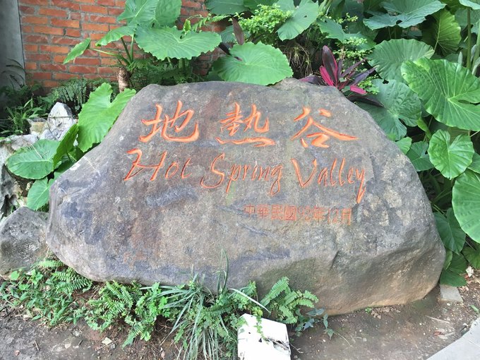 一路惊喜旅行,一路惊喜飞鸟和蝉