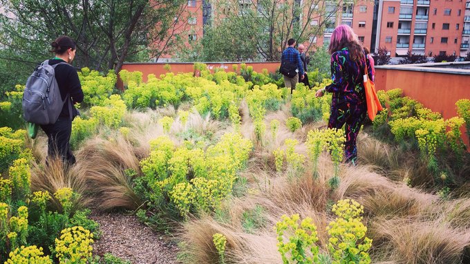 双鱼浪欧洲|意大利|都灵Torino