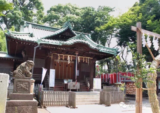 日本旅游攻略东京8天,最新日本旅游攻略一日游