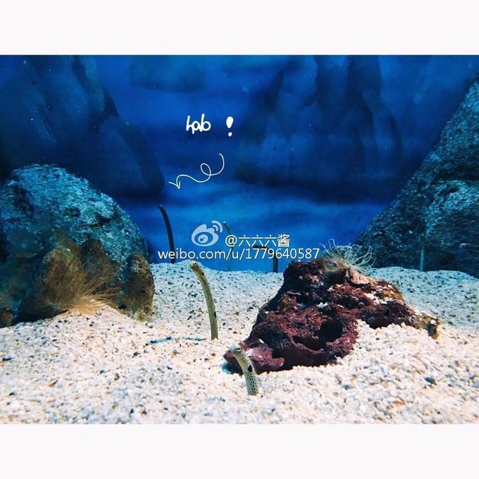 泰国普吉岛3日游攻略2015,泰国曼谷普吉岛照片