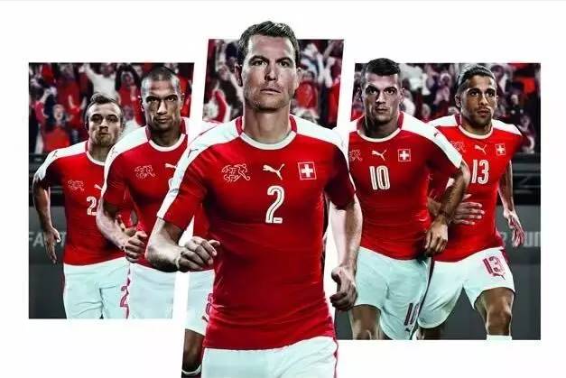 瑞士队视频,瑞士牧羊犬幼犬怎么看纯不纯