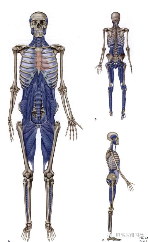 颈椎病国际康复训练,中医讲座颈椎病