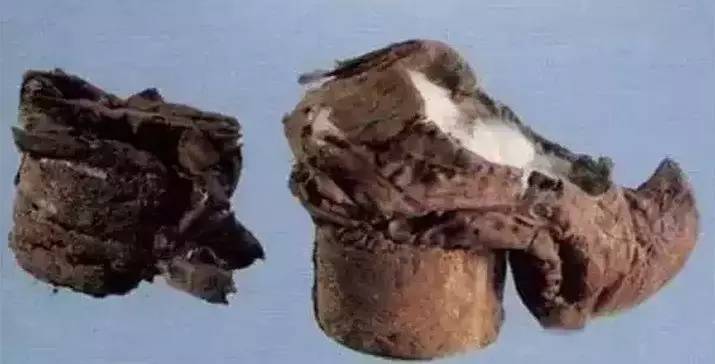 我有传家宝2019主要内容,我有传家宝2017版