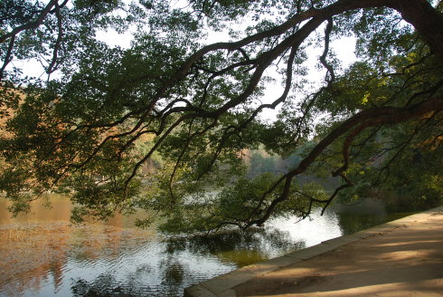 现在去新昌大佛寺能看到大佛吗,天下第一大佛新昌