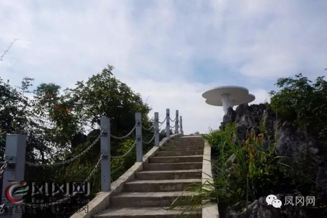 发现凤冈|进化镇九龙观光栈道