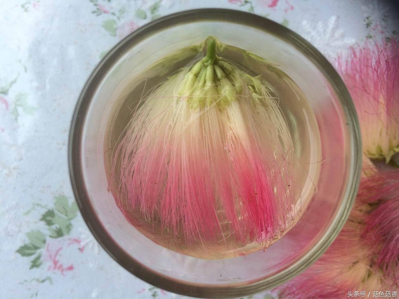 《甄嬛传》里的*欢合**花，你了解有多少？