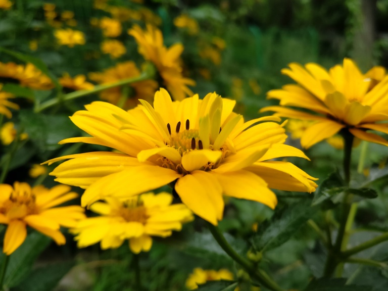 上手体验感好手机,上手体验好的手机