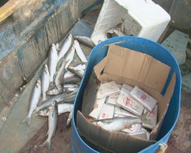 深圳华强北苹果手机黑科技揭秘,深圳华强北全新苹果手机哪里来