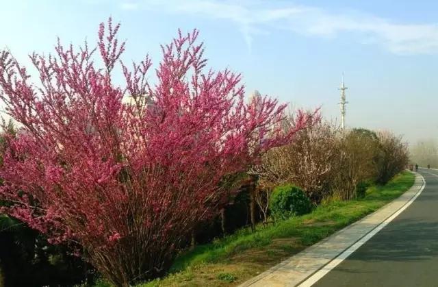 后湖十年前后的变化,武汉后湖这个区域咋样