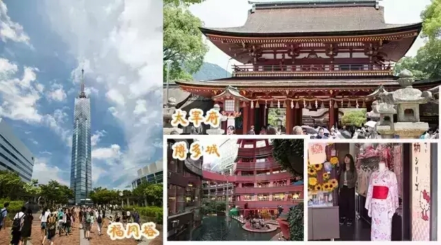 这个暑假带你去旅行,这个暑假带你一起去看海