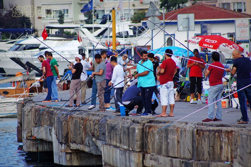 杩峰け鍦ㄧ激绾峰褰╃殑鎷夌編涓栫晫,杩峰け鍦ㄤ紛鏂潶甯冨皵