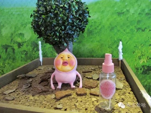 传说中的“丑萌界”鼻祖屁桃君，它终于来魔都啦！