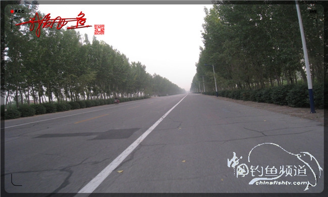 马踏湖国家湿地公园远足,马踏湖国家湿地公园游览路线