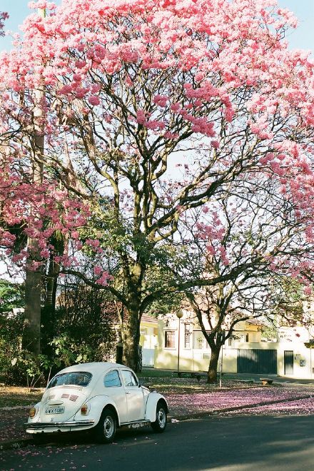 发现被爱人欺骗后要揭穿吗,发现被爱人欺骗