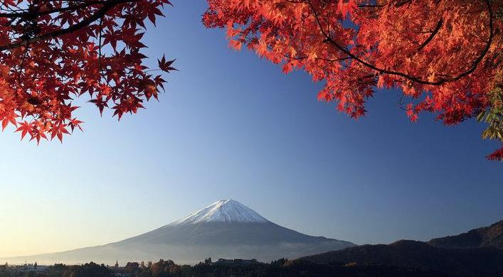 日本十大最著名药厂,日本的知名药厂