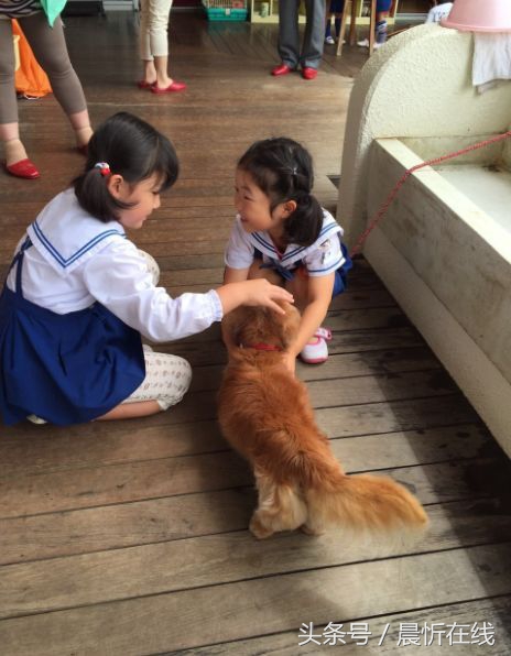 教育是最廉价的国防,走进日本幼儿园才发觉孩子上了个假幼儿园!