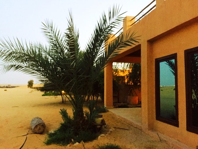 迪拜自驾旅游攻略最新,迪拜自驾游旅游攻略大全