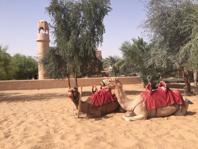迪拜自驾旅游攻略最新,迪拜自驾游旅游攻略大全
