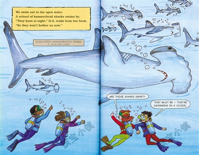 想象力没有边界,想象力没有标准答案