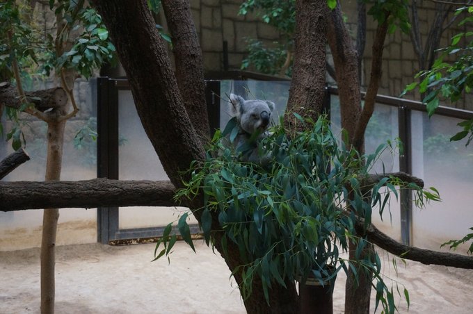 一个人的旅行东京,一个人的名古屋