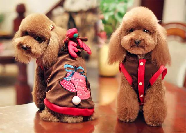 园区商场重新开业,园区最近有什么变化吗