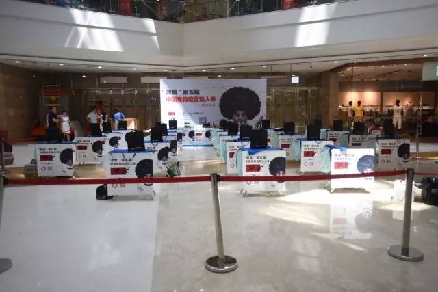 “源食”第五届中国宠物造型达人秀——哈尔滨赛区报道