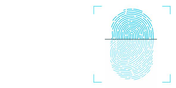 榜样浦东一批人、一批单位(组织)被表彰,看看都是谁