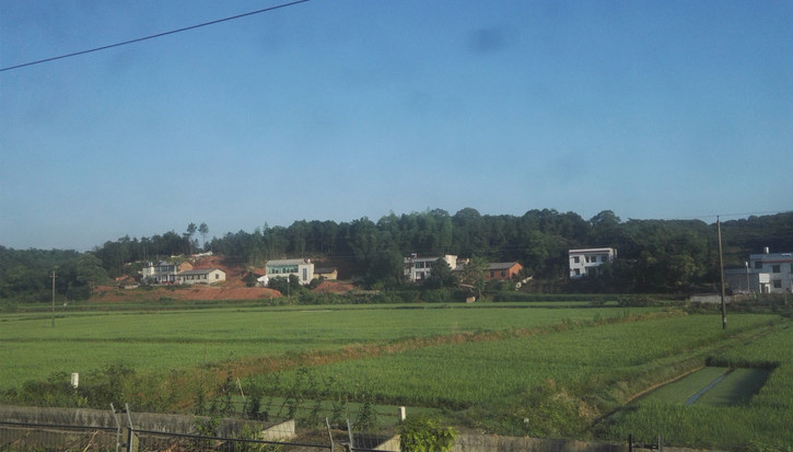 现在在农村做什么最合适,农村人在城里适合做什么