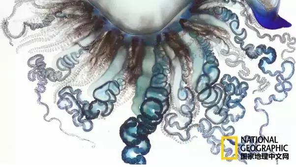 夏天带宝宝去海边玩注意什么,带娃到海边玩一定要注意安全