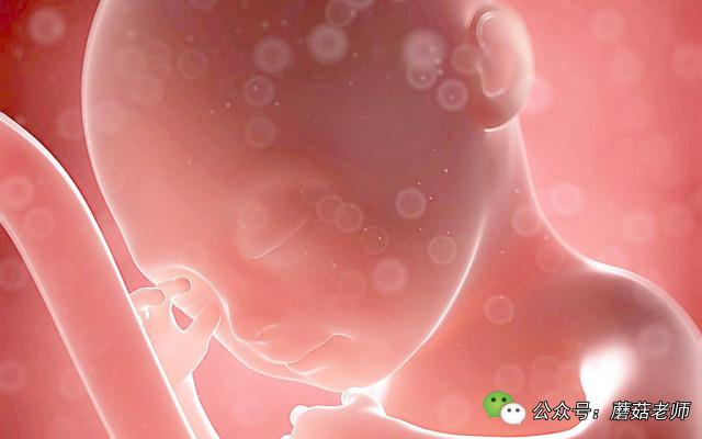 剖腹产时，男医生伸进我的子宫，竟说胎儿握了一下他的手