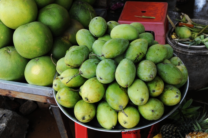 柬埔寨必去景点推荐,柬埔寨旅游必去的九大绝佳景点