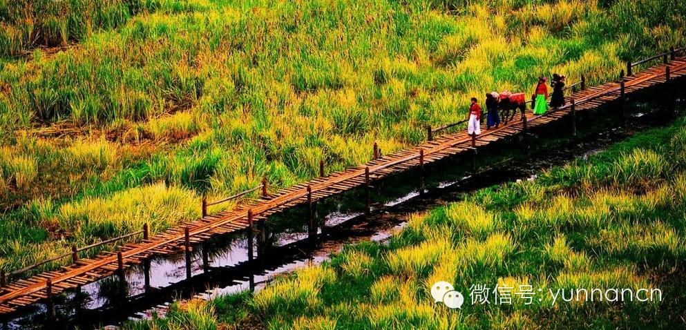 重庆至云南自驾游7天最佳路线,成都到云南自驾游最佳路线推荐