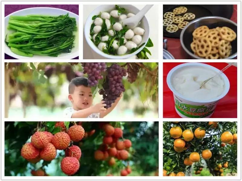 广东省最富裕的城市有哪些,广东省最富裕的地方