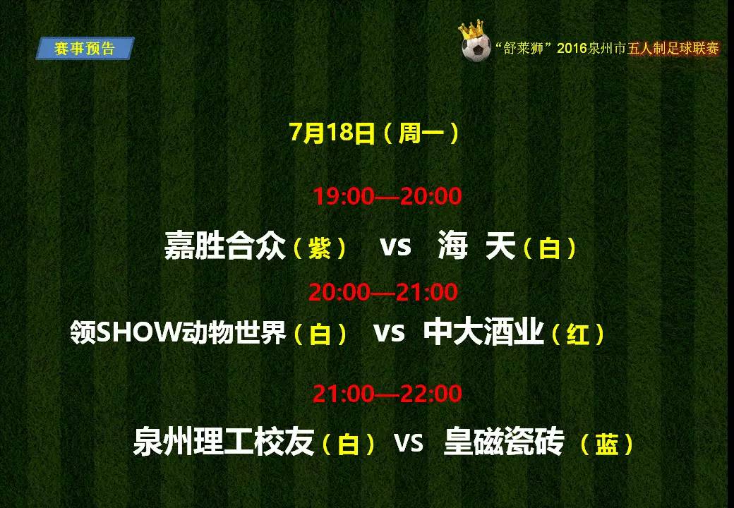 舒莱狮海西杯全国足球邀请赛,舒莱狮足球赛