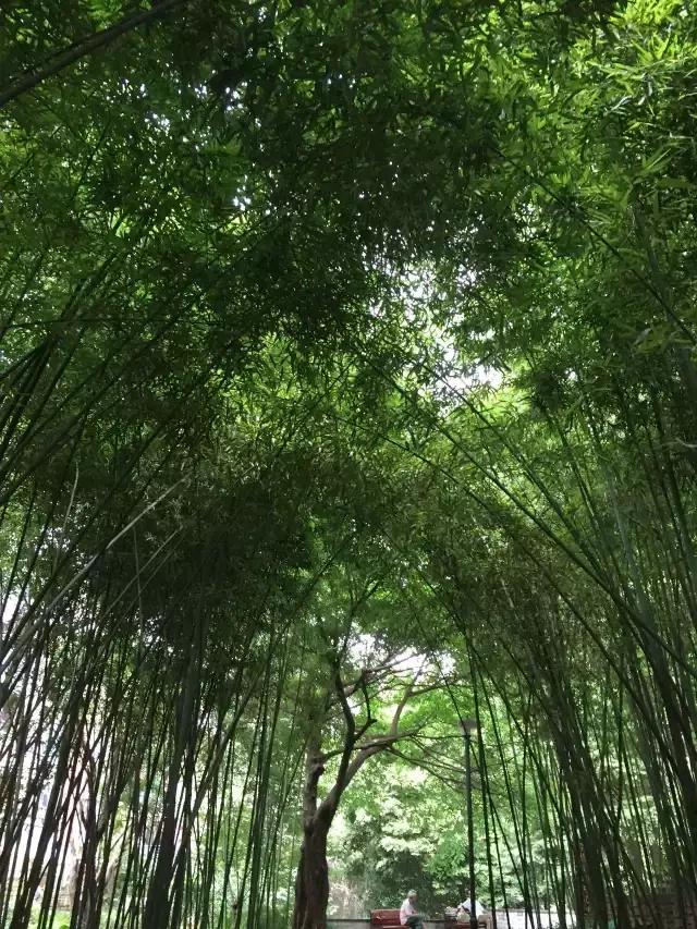 金科郑州城,金科地产郑州金科城