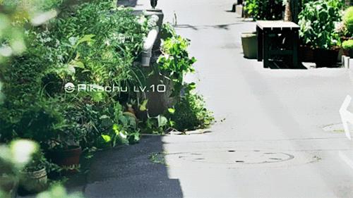 pokemon背包,口袋妖怪pokemongo背包