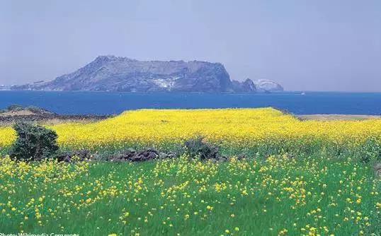 韩国济州岛一个人攻略,韩国济州岛旅行视频