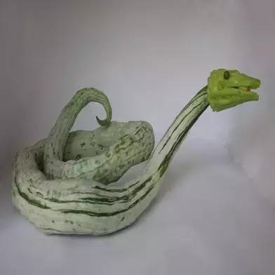 据说，渭南好多人都吃过这条青蛇！