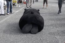 郑州打车软件哪个好用又实惠,郑州哪个软件打车便宜