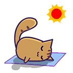 麻宝宝的抖音视频,麻宝宝