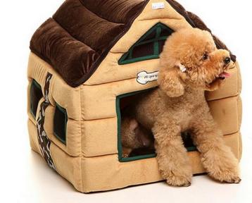 狗狗的脚掌发白是什么原因,狗狗脚掌肉垫红肿