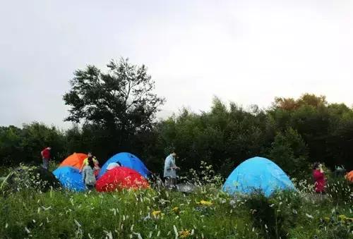 樟木为什么容易变形,樟木发展规划