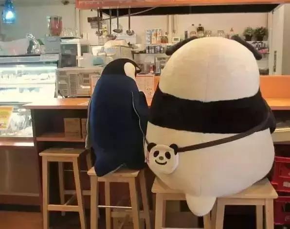 玩不了csgo能玩什么游戏,玩不了pokemmo