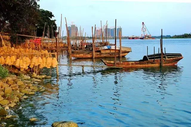 广佛线南延段,广佛环线从佛山到广州多久