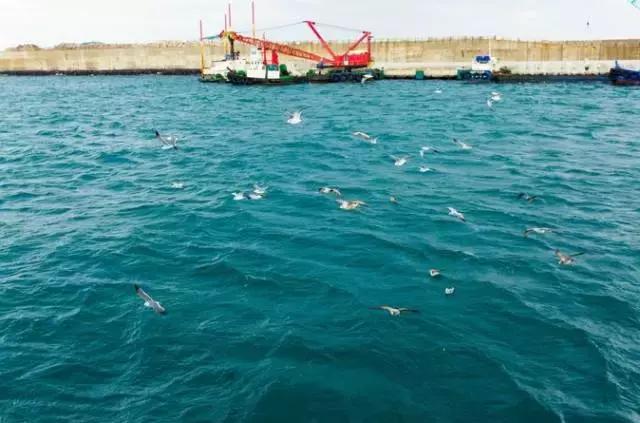 济州岛对中国一直免签吗,济州岛是对全球免签的吗