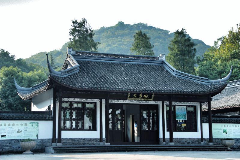 上海松江哪里好玩又免费的,六月松江游玩路线攻略