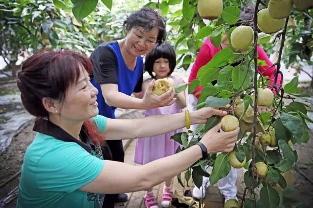 上海松江哪里好玩又免费的,六月松江游玩路线攻略