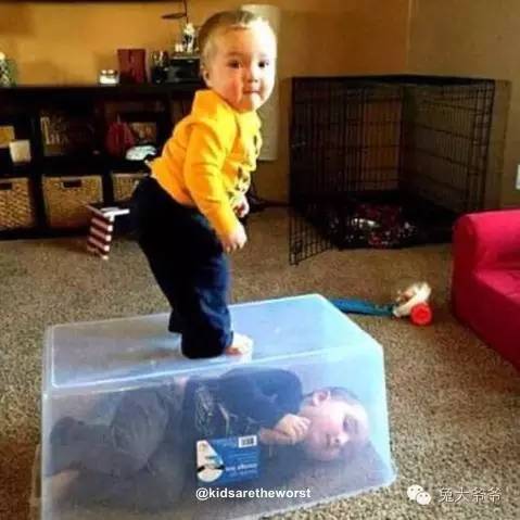 避孕各种方式有效几率,欧美最流行的避孕方法