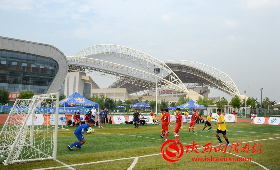 2023未来之星阳光体育大会,2017未来之星夏季阳光体育活动