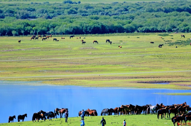 一起去大西北流浪,一起去大西北沙漠